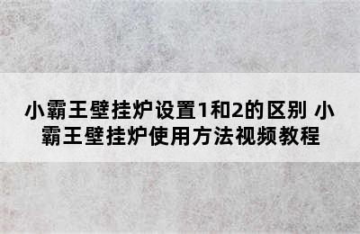 小霸王壁挂炉设置1和2的区别 小霸王壁挂炉使用方法视频教程